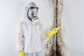 Best Biohazard Mold Removal  in Gretna, LA